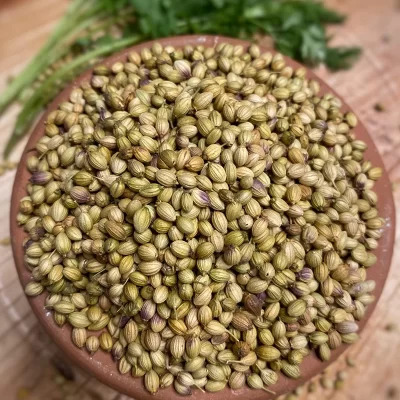 Coriander