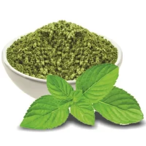 Green Mint Leaf Powder