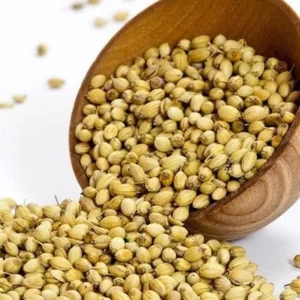 Coriander