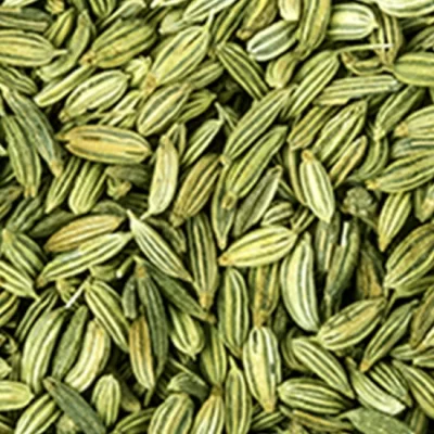 Fennel Seed