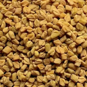 Fenugreek Seed