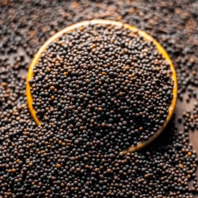 Mustard Seed