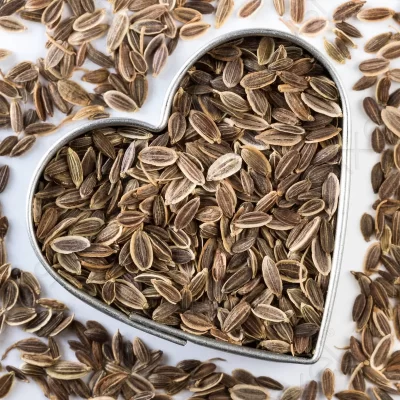 Dill Seeds – Suva