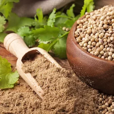 Coriander Powder