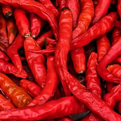 Red Dry Chilli